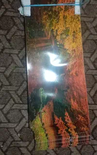 پوستر