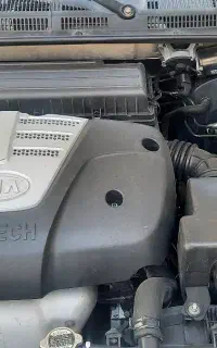 ریو ۱۳۸۸