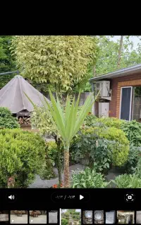 اجاره کلبه چوبی