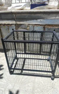 قفیس سگ گربه