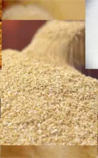 فروش جوجه یک روزه گوشتی، محلی و دورگه