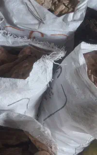 نان بربری خشکخشک بدون ذره ای کپک