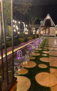 استخدام