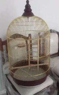 قفس زیبای پررنده