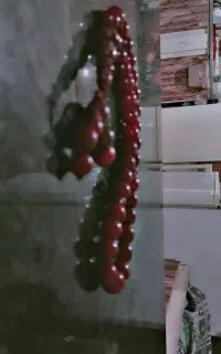 تسبیح با نخل خرما