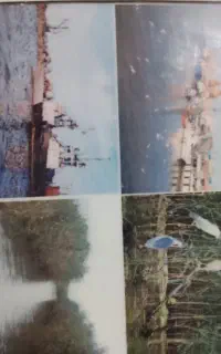 قایق سواری تعاونی مجاز