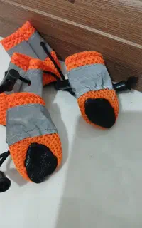 کفش پت