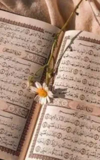کتاب علوم غریبه دعا