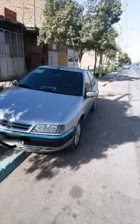 زانتیا خانگی و کم کار