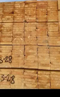 اجاره تخته بنایی