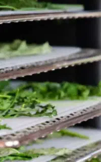 فروش خشک کن میوه سبزی 15 سینی گارانتی دار