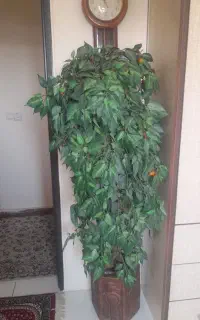 گلدان مصنوعی