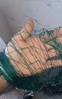 تور ماهیگیری