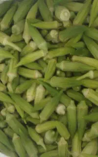 ب ا م یه تازه ریز دره شهر