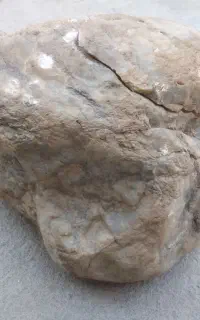 شهاب سنگ