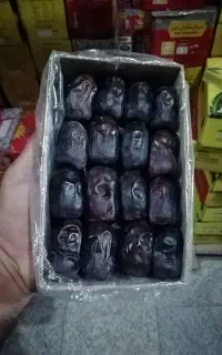 خرمای رطب بم