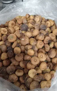 انجیرخشک سمنان امساله