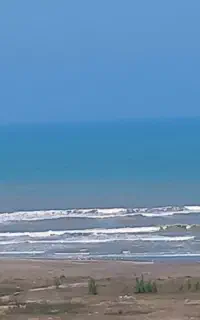 استخدام منشی