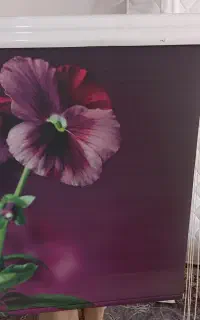 پرده کرکره ای