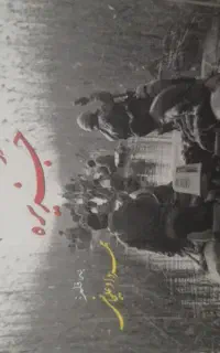 ۷ کتاب مجنون در جزیره