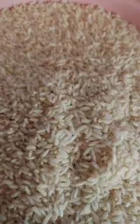 20کیلو برنج امیرآباد 400