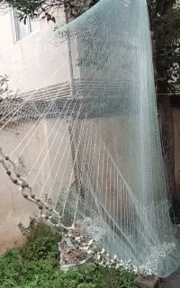فروش کولی ماشک جدید سایز بزرگ