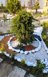 باغبانی ، درختکاری و طراحی فضای سبز