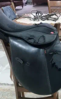 زین سوارکاری با دهنه
