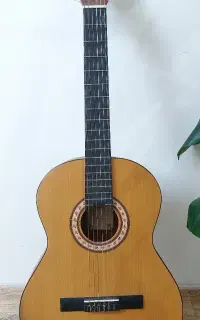 گیتار پارسی مدل M2 (در حدنو و تمیز)