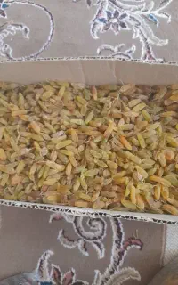 کشمش پیکامی تمیز کیلو ۵۰۰