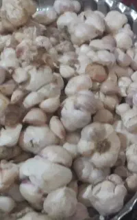 سیر حبه درشت سفید