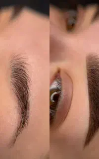 آریش دائم