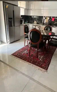 نیرو خانم خدمتکار