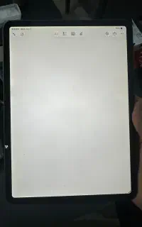 Ipad pro 2018 64gig