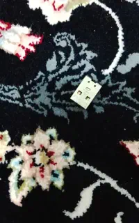 فلش