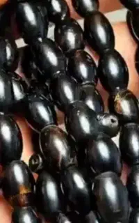 تسبیح یسر،کهنه