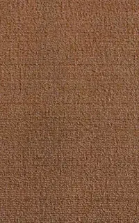 12متر موکت ظریف