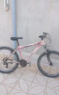 دوچرخه