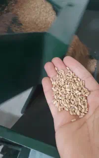بوجاری و سورت و خشک کن محصولات کشاورزی