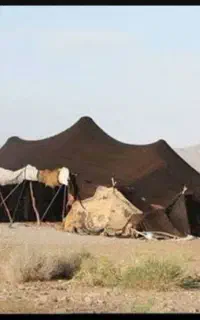فروش یک عدد سیاه چادر(گدام)