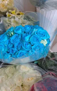 گل رز طبیعی در ۴ رنگ