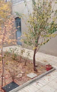 سجاس خانه سجاس دوطبقه بزرگ