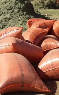 یونجه و گیا فروش