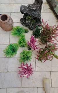دو عدد آکواریوم با تجهیزات کامل