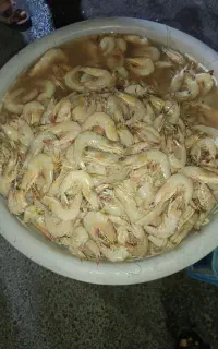 میگو تازه صید روز