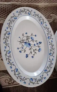 دیس ملامینی