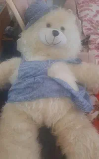 خرس بزرگ اندازه قد یک فرد
