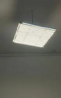 لامپ