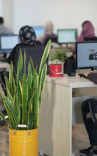 طراحی سایت اختصاصی و تولید محتوا، سپاهان آی‌تی