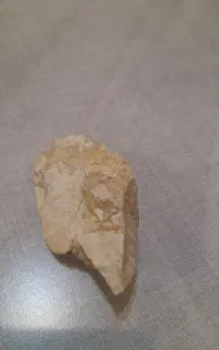 سنگ فسیلی سرامیکی